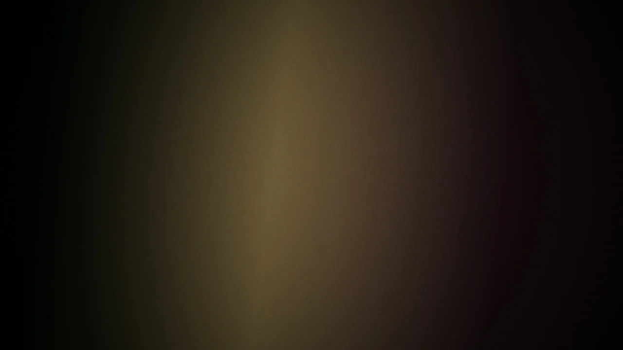 Gothic Court: Dark oil-painting animation
